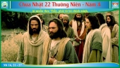 TN Nam A CN 22