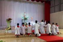 Giáo họ Quỳnh Hoàng cử hành trọng thể Đại lễ kính Lòng Chúa Thương Xót