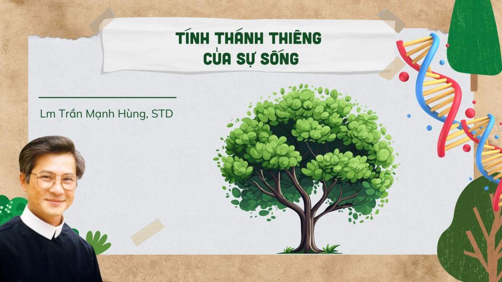 Tính thánh thiêng của sự sống