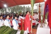 Giáo xứ Lão Phú: Kiệu lá và Thánh lễ khai mạc Tuần Thánh.