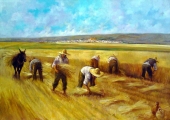 Sai thợ ra gặt lúa về (Thứ Ba tuần XIV Tn;Mt 9,32-38)