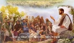 Mục tử và đàn chiên (Bài giảng Chúa nhật XVI Thường niên – Năm B)