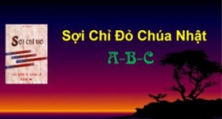 Soi Chi Do Chua Nhat ABC 310x165