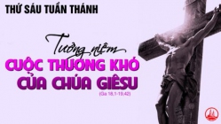 T6 TuanThanh 5 495x278