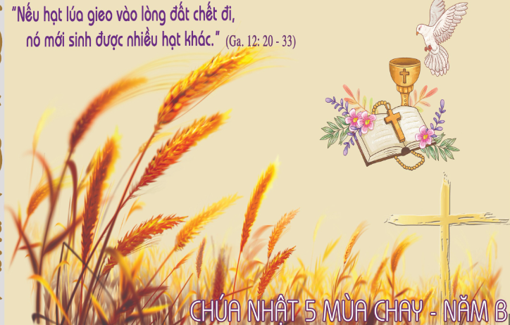 Giao ước mới" (Bài suy niệm Chúa nhật 5 Mùa Chay - Năm B của Đức TGM Giuse  Vũ Văn Thiên) - Giáo Phận Hải Phòng